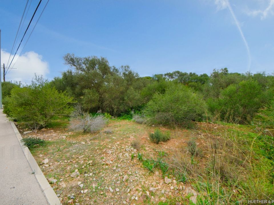 Helårsgrund i Sant Llorenc Des Cardassar, Mallorca - foto 4