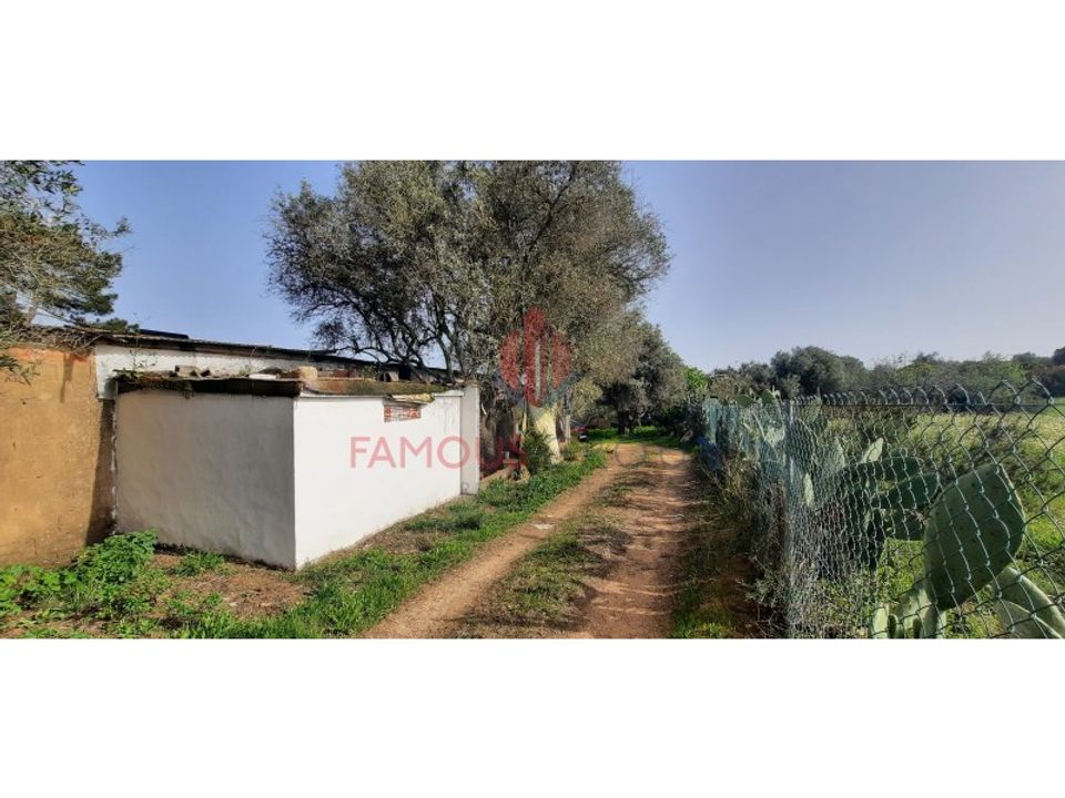 Farm i Luz, Faro - foto 2