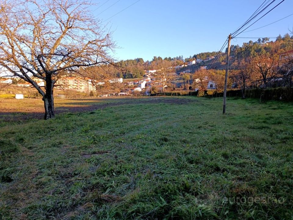Helårsgrund i Lamego, Viseu - foto 1