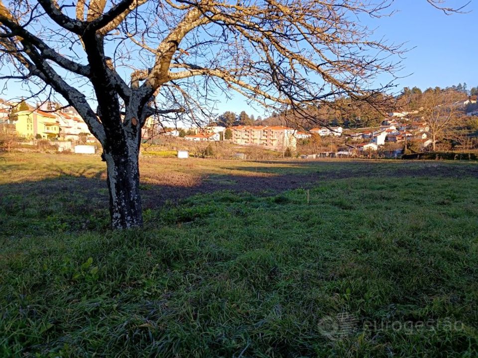 Helårsgrund i Lamego, Viseu - foto 2