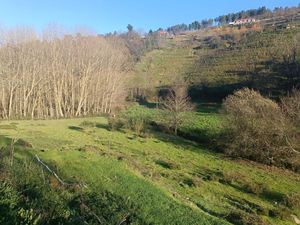 Helårsgrund i Lamego, Viseu - foto 1