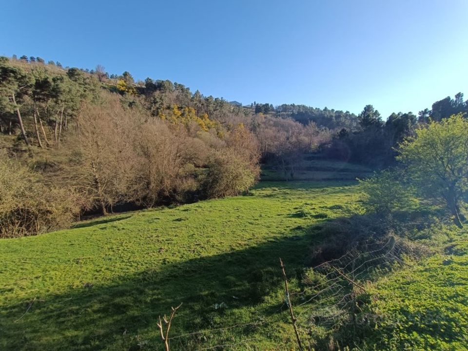 Helårsgrund i Lamego, Viseu - foto 3