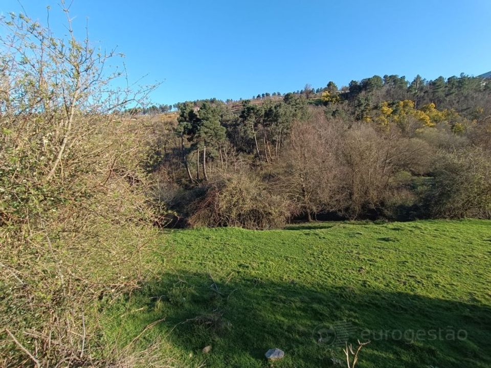 Helårsgrund i Lamego, Viseu - foto 4
