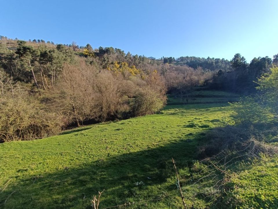 Helårsgrund i Lamego, Viseu - foto 5