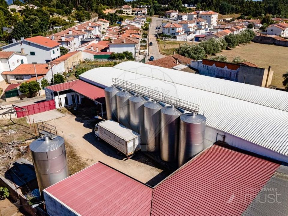 Farm i Avelas de Caminho, Aveiro - foto 3