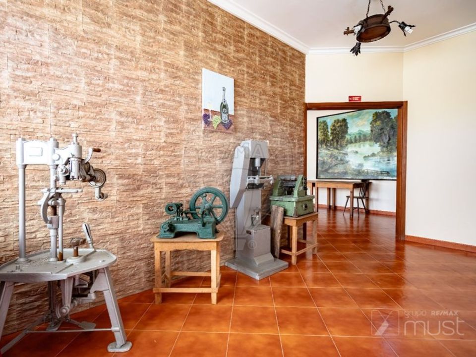 Farm i Avelas de Caminho, Aveiro - foto 4
