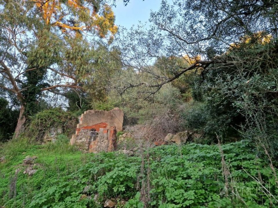 Helårsgrund i Sintra, Lisbon - foto 1