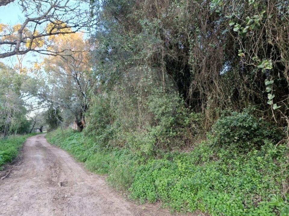 Helårsgrund i Sintra, Lisbon - foto 4