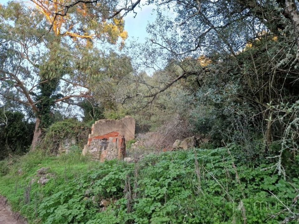 Helårsgrund i Sintra, Lisbon - foto 5