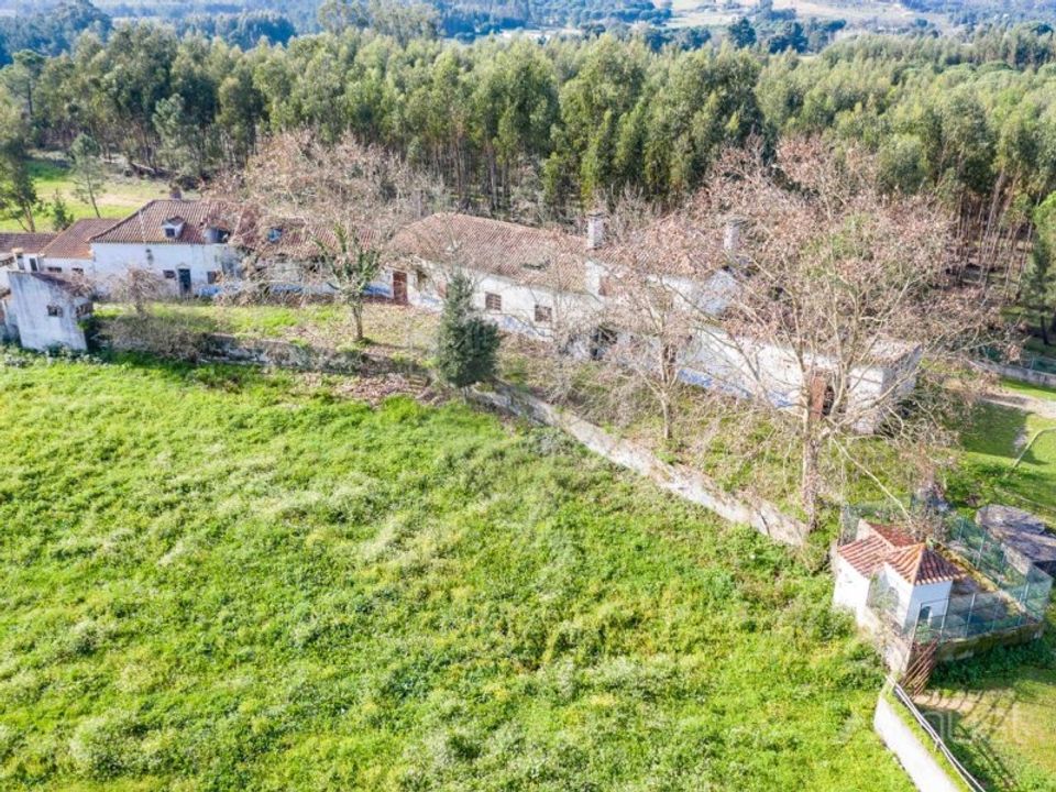 Farm i Alcoentre, Lisbon - foto 2