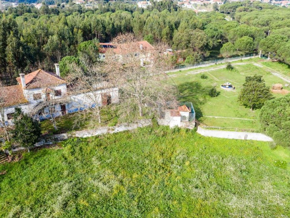Farm i Alcoentre, Lisbon - foto 3