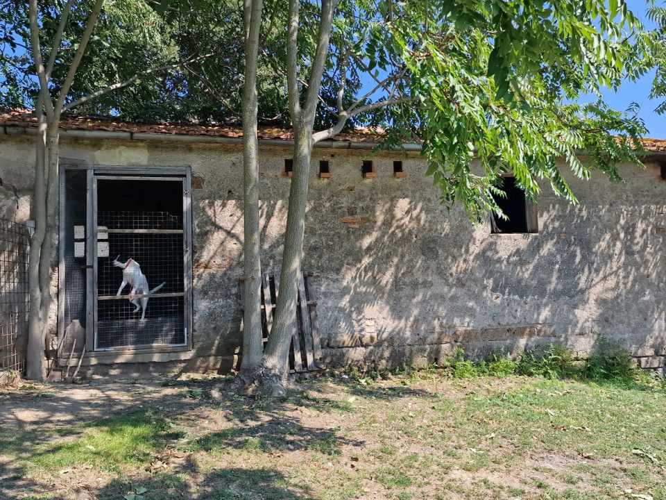 Dorpshuis in Montecastrilli, Terni - foto 4