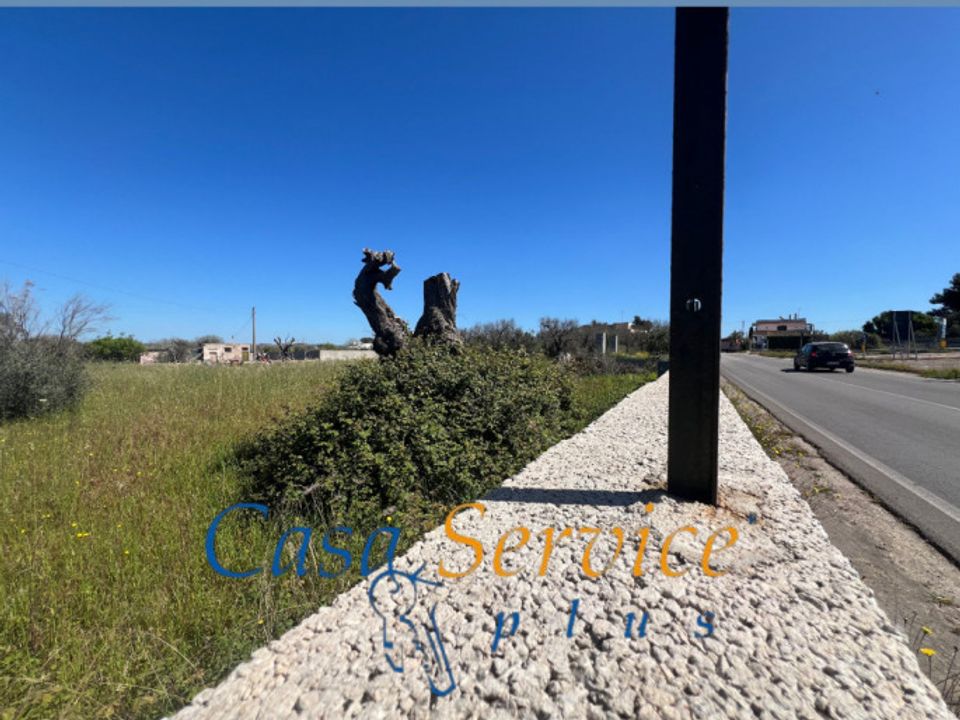 Tomt i Gallipoli, Lecce - bilde 3