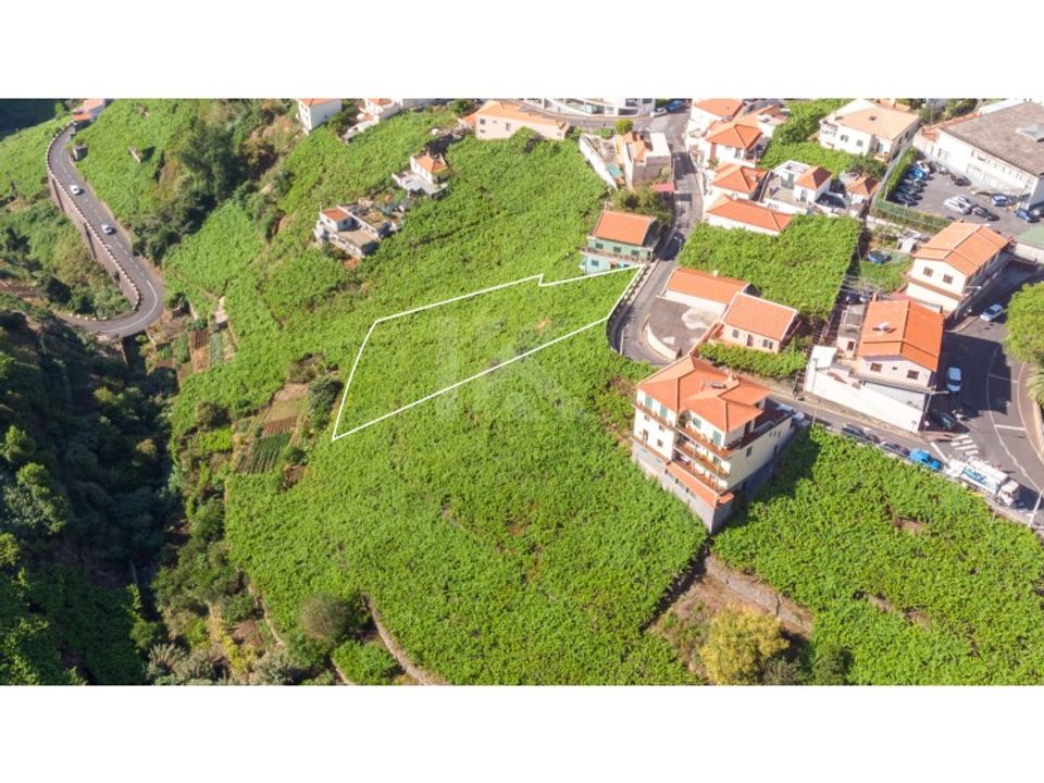 Helårsgrund i Camara de Lobos, Madeira - foto 2