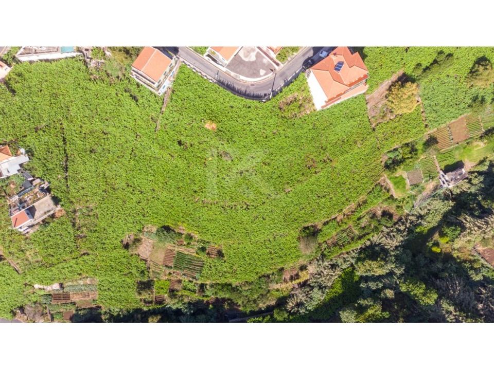 Helårsgrund i Camara de Lobos, Madeira - foto 4