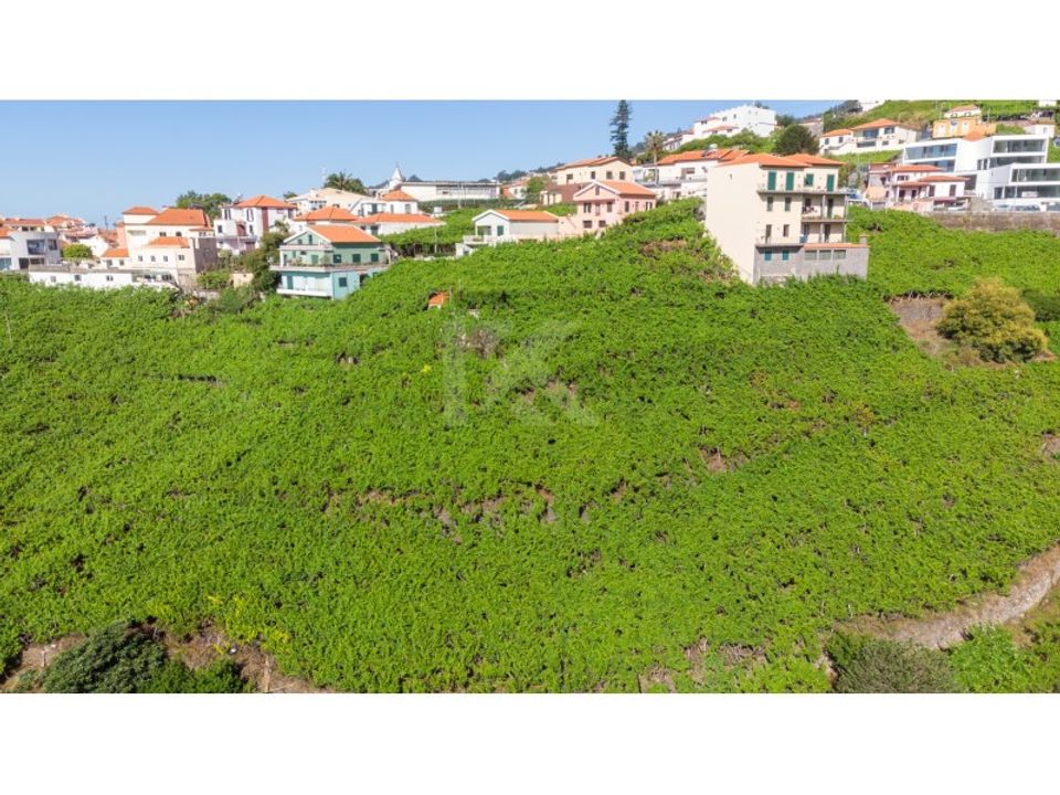Helårsgrund i Camara de Lobos, Madeira - foto 5