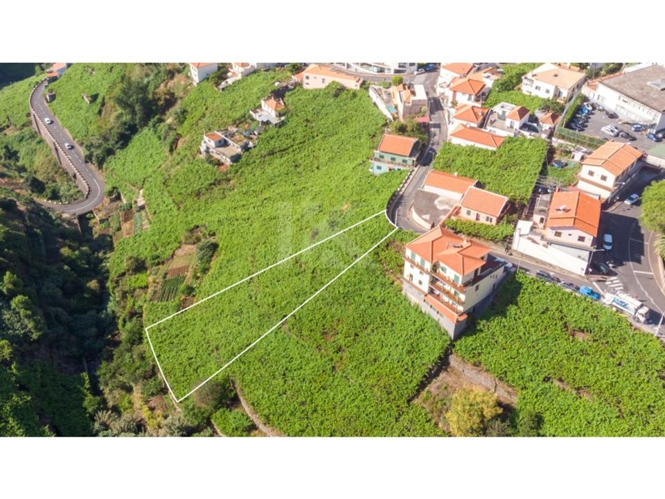 Helårsgrund i Camara de Lobos, Madeira - foto 2