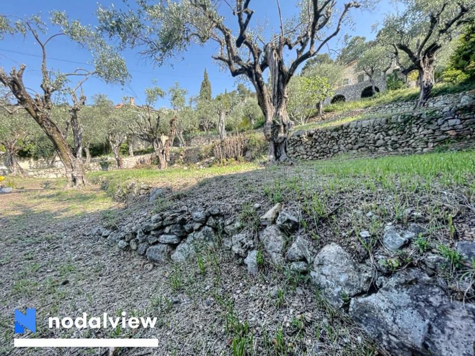 Helårsgrund i Grasse, Alpes-Maritimes - foto 3