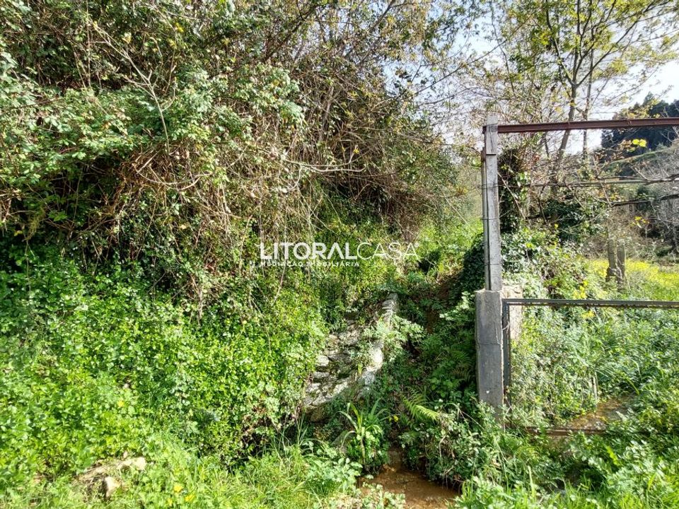 Tomt i Sever do Vouga, Aveiro - bilde 3