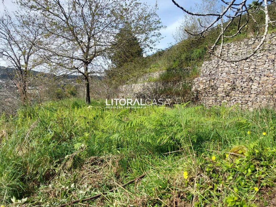 Tomt i Sever do Vouga, Aveiro - bilde 5