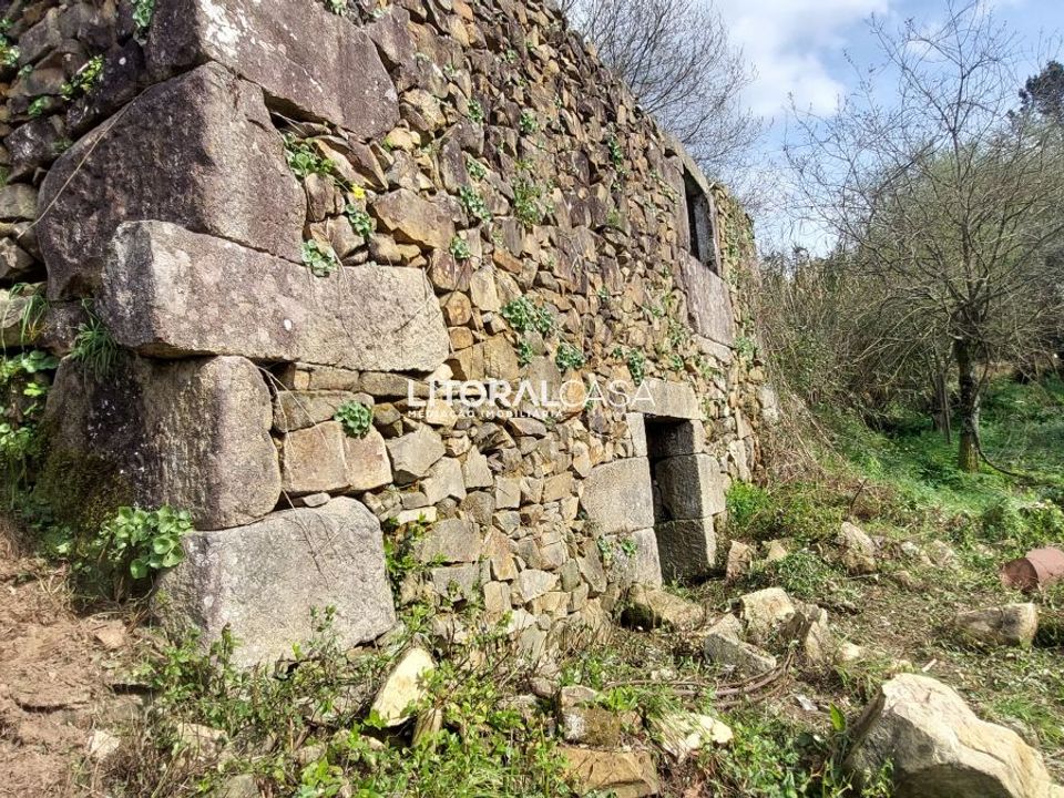 Tomt i Sever do Vouga, Aveiro - bilde 1