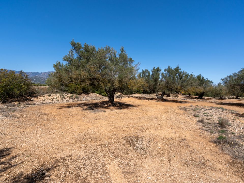 Finca i Roquetes, Tarragona - foto 3