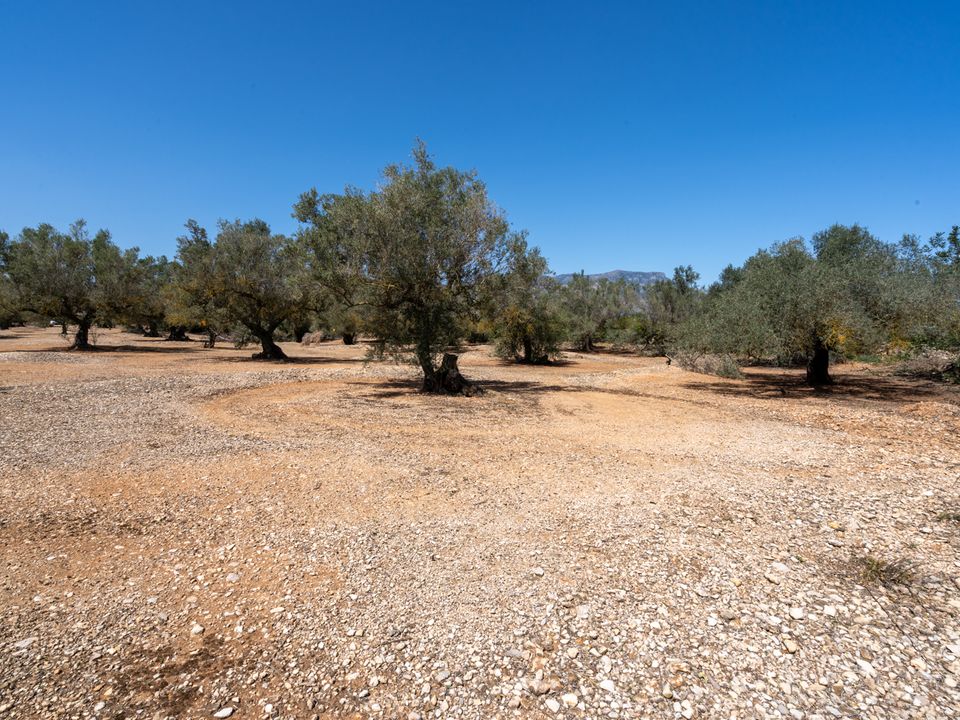Finca i Roquetes, Tarragona - foto 4