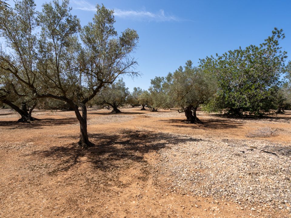 Finca i Roquetes, Tarragona - foto 2
