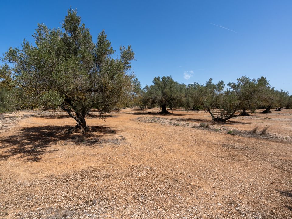 Finca i Roquetes, Tarragona - foto 1