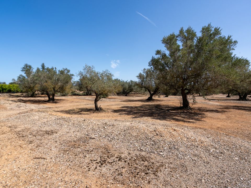 Finca i Roquetes, Tarragona - foto 5