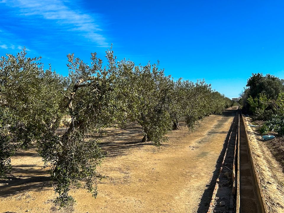 Finca i Sant Jaume D'enveja, Tarragona - foto 2