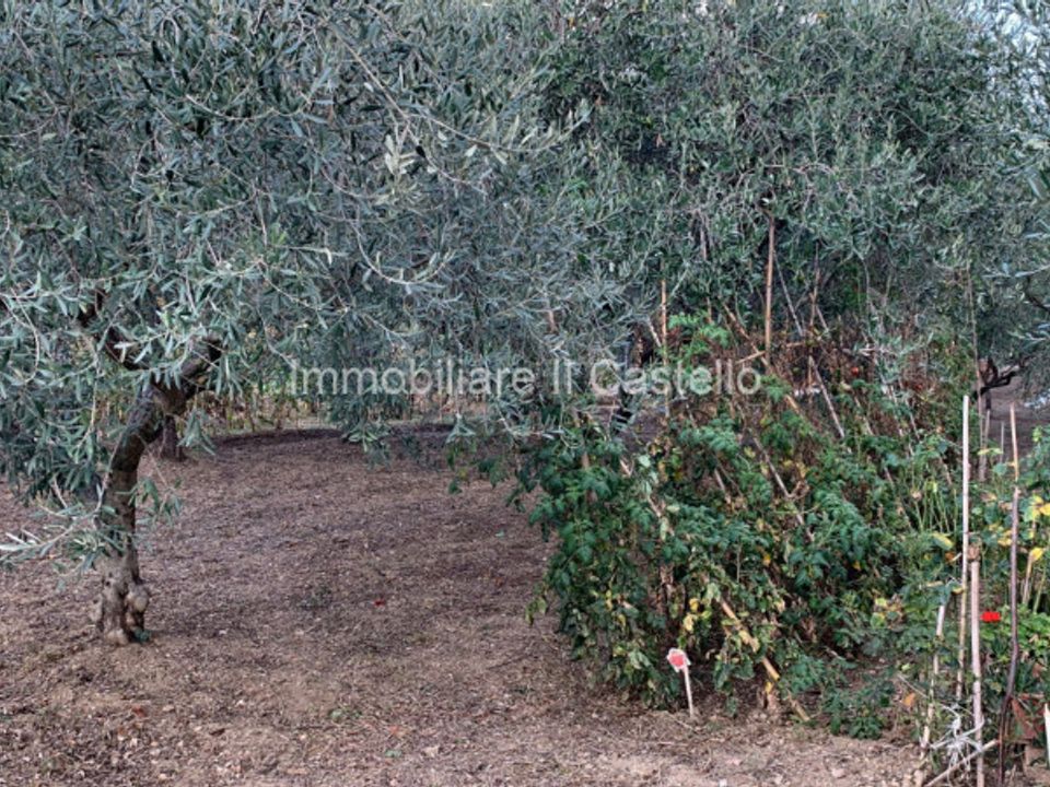 Tomt i Corciano, Perugia - bilde 3