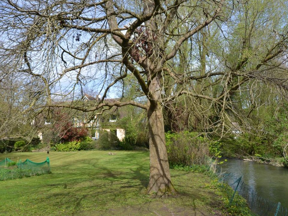 Villa i Cany-Barville, Seine-Maritime - foto 4