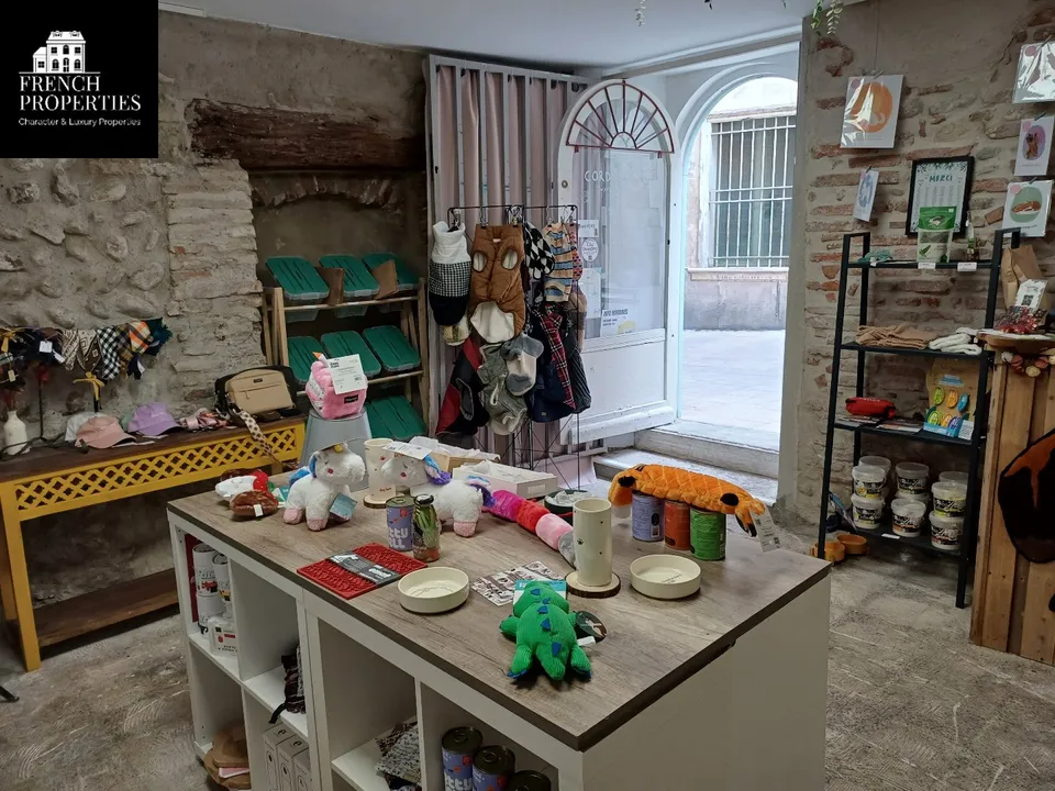 Erhvervsejendom i Perpignan, Pyrenees-Orientales - foto 1