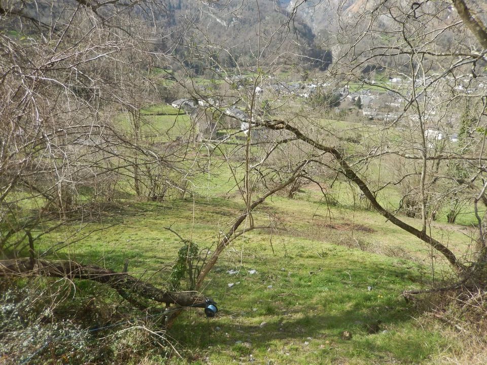 Helårsgrund i Laruns, Pyrenees-Atlantiques - foto 5