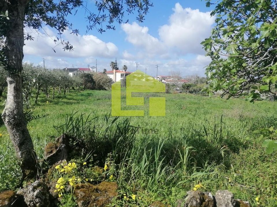 Terrain - Condeixa-a-Nova, Coimbra - photo 1