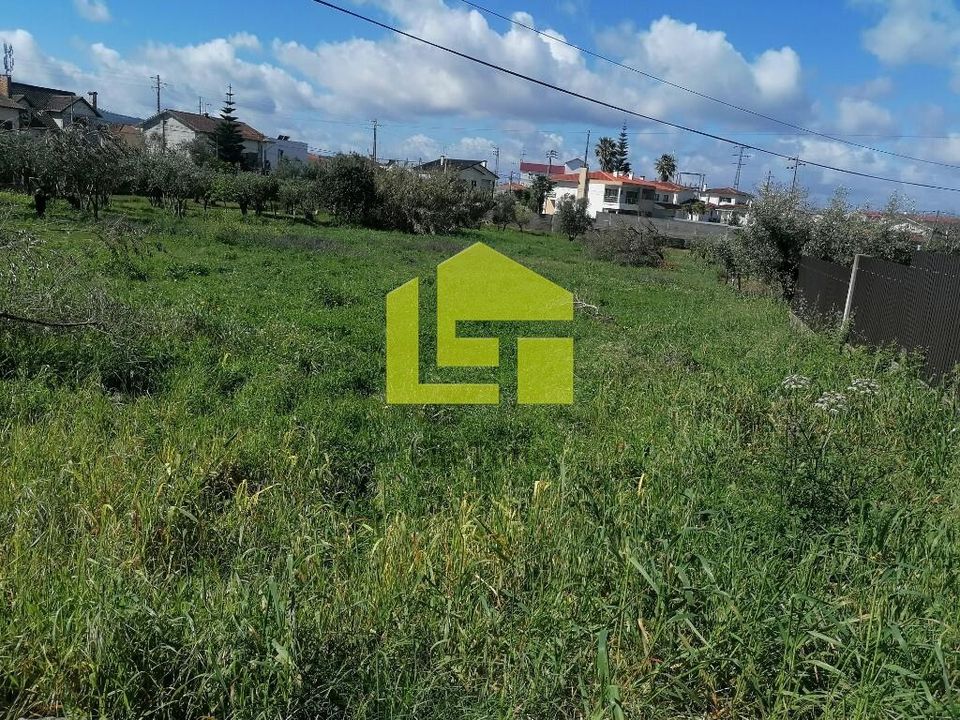 Terrain - Condeixa-a-Nova, Coimbra - photo 3