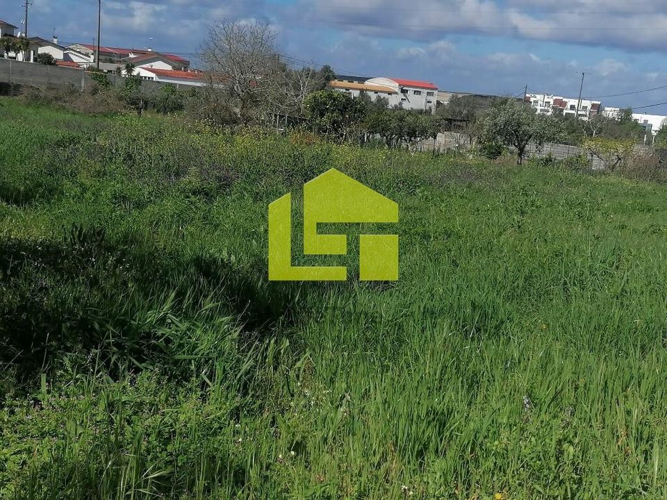 Terrain - Condeixa-a-Nova, Coimbra - photo 4