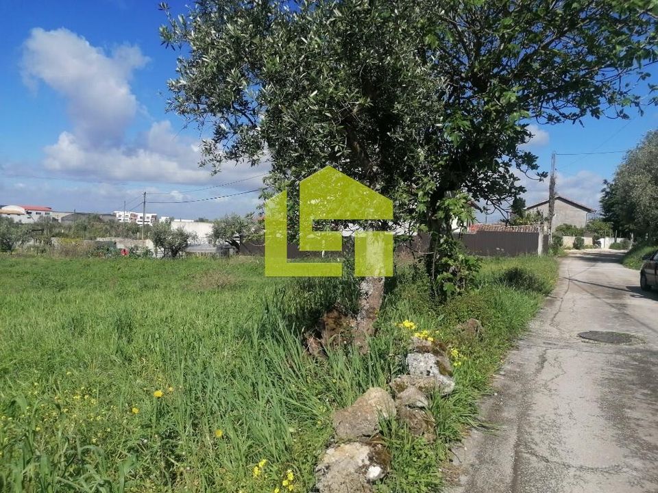 Terrain - Condeixa-a-Nova, Coimbra - photo 5