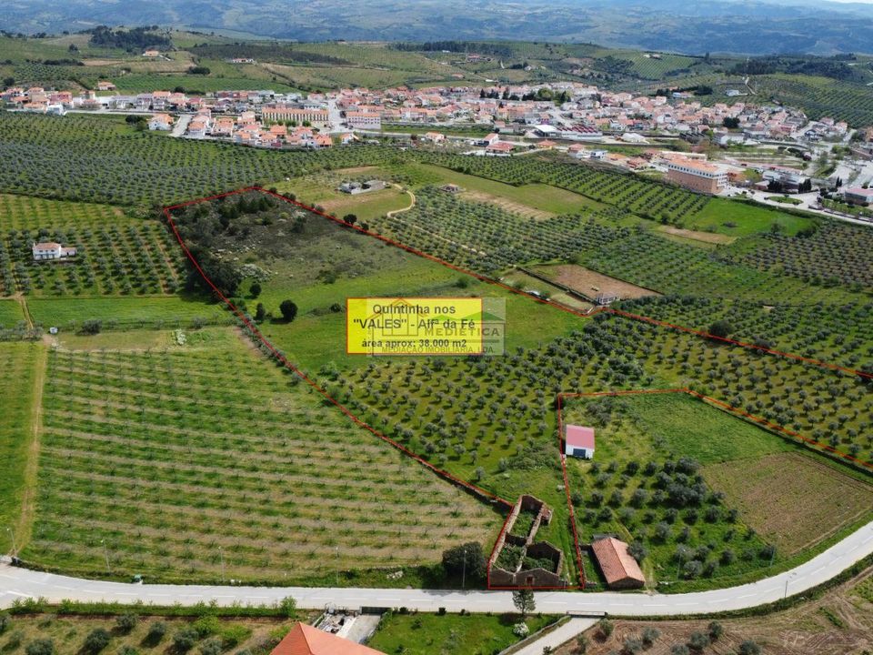 Farm i Alfandega da Fe, Braganca - foto 1