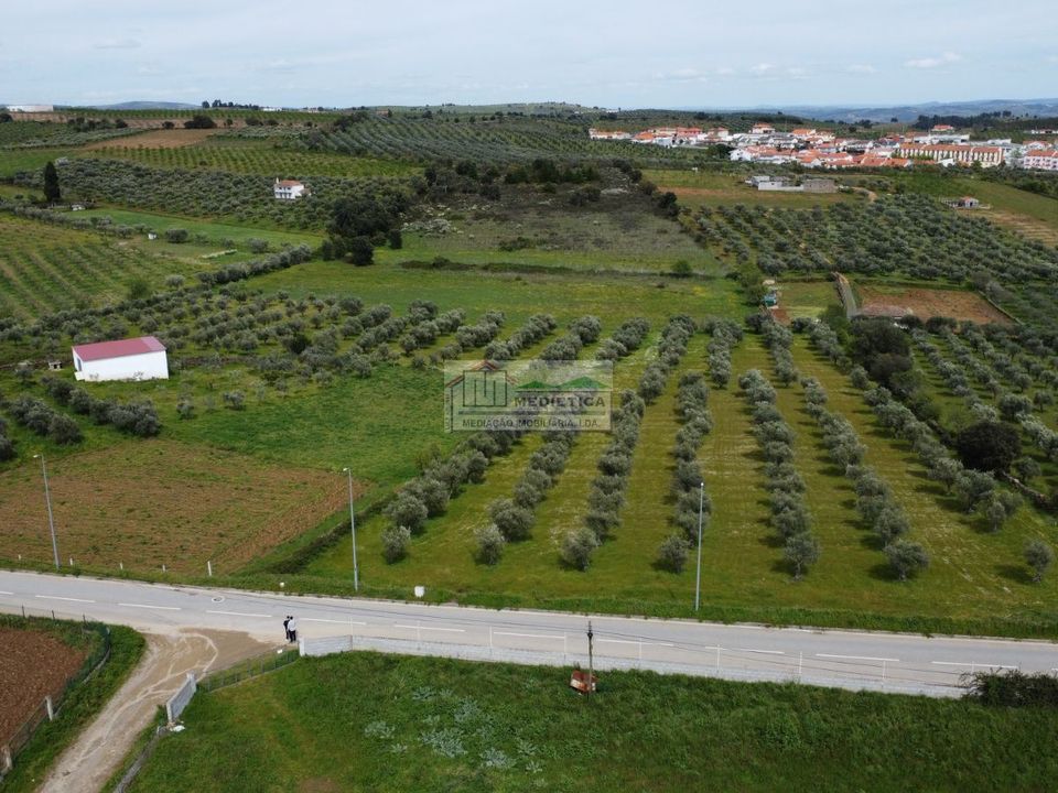 Farm i Alfandega da Fe, Braganca - foto 4