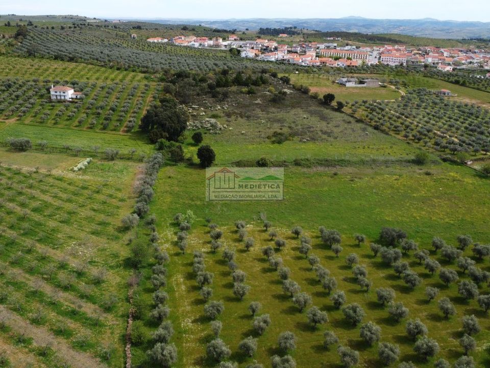 Farm i Alfandega da Fe, Braganca - foto 5