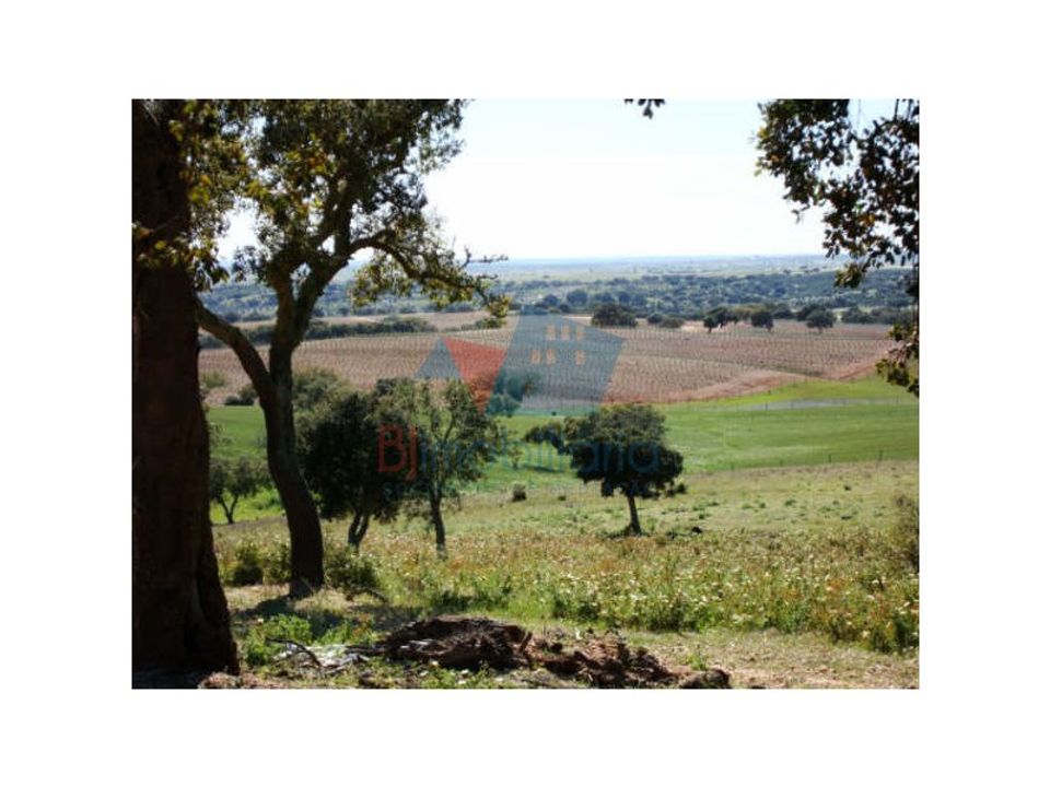 Farm hus i Beja, Beja - foto 3