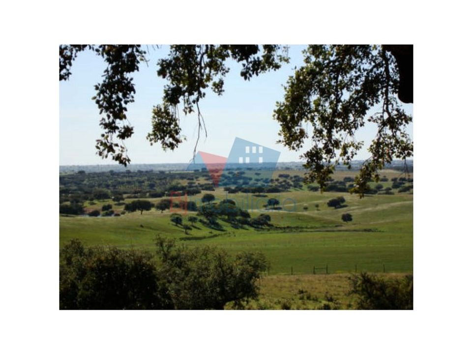 Farm hus i Beja, Beja - foto 4