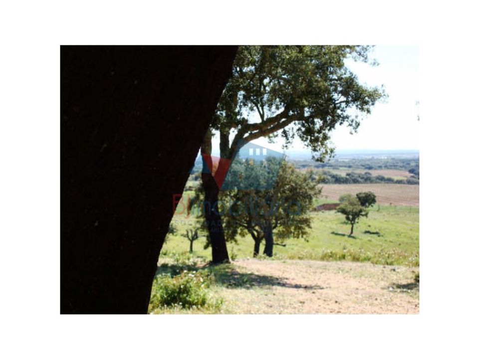 Farm hus i Beja, Beja - foto 5