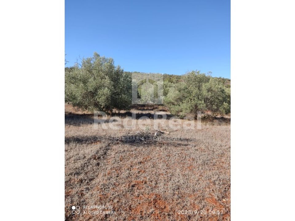 Helårsgrund i Benafim, Faro - foto 3