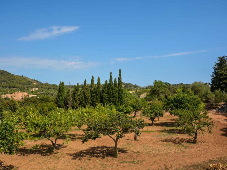 Finca en Son Servera, Mallorca - foto 1