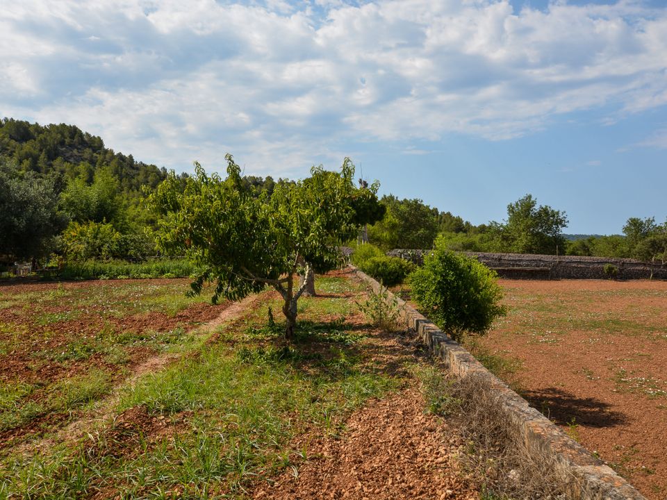 Finca en Son Servera, Mallorca - foto 2