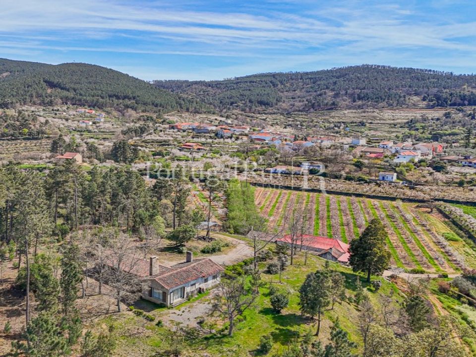 Gård i Fatela, Castelo Branco - bilde 1