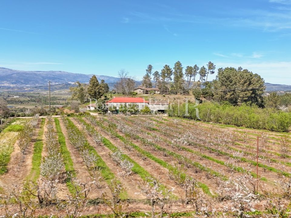 Gård i Fatela, Castelo Branco - bilde 3